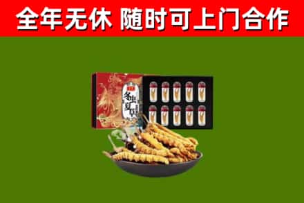 复兴区回收冬虫夏草价格